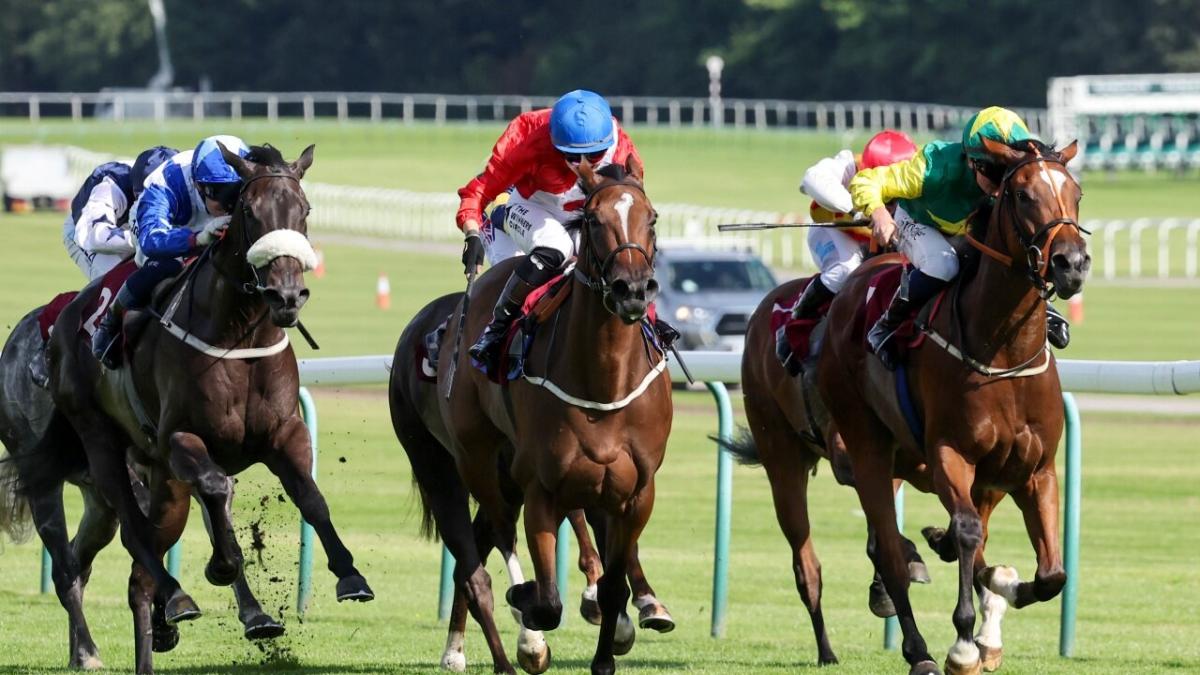 Haydock
